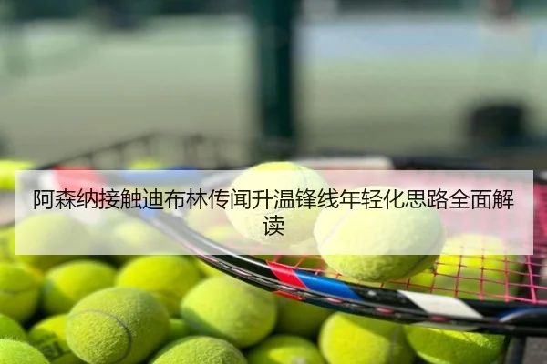 阿森纳接触迪布林传闻升温锋线年轻化思路全面解读